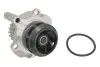 Насос воды Audi A4/A6/VW Caddy/Golf IV/Passat/T5 1.8T/2.0 03-, z=23 538 0038 10
