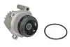 Насос воды VW T5/Caddy 1.9TDI/2.0SDI 03-10, z=19 BSU,BJB,BLS,BDJ,BST,BRR,AXC,BRS,AXB INA 538 0054 10 (фото 1)