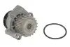 Насос воды VW T5/Caddy 1.9TDI/2.0SDI 03-10, z=19 BSU,BJB,BLS,BDJ,BST,BRR,AXC,BRS,AXB INA 538 0054 10 (фото 2)