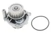 Насос воды VW Caddy III 1.6/BiFuel 04-15 (23z), BGU, BSE, BSF, CHGA INA 538 0088 10 (фото 2)
