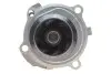 Насос воды VW Caddy III 1.6/BiFuel 04-15 (23z), BGU, BSE, BSF, CHGA INA 538 0088 10 (фото 3)