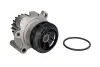 Насос воды VW Caddy III 2.0TDI 07-10/Golf IV 1.9TDI 98- (19z) INA 538 0089 10 (фото 1)