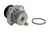Насос воды VW Caddy III 2.0TDI 07-10/Golf IV 1.9TDI 98- (19z) INA 538 0089 10 (фото 2)