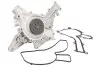 Насос воды MB Vito (W639) 3.0i/3.2i/3.7i/E-class (W210) 2.4i-5.5i -02, M112/M113 INA 538 0211 10 (фото 1)
