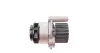 Насос воды Seat Cordoba/Ibiza/Skoda Fabia/VW Polo 1.9SDI 47Kw 99-12 (19z) INA 538 0325 10 (фото 3)