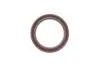Комплект ланцюга ГРМ Toyota Rav 4 III 2.04WD/2.4 05-13, 1AZ-FE/2AZ-FE INA 559 1031 40 (фото 6)