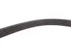 Ремінь генератора VW Passat B5/Audi A4/A6 1.6/1.8 95- INA FB 5PK1300 (фото 3)