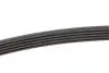 Ремінь генератора BMW 5 (E39) 520i/523i/528i 90-/Hyundai XG 3.0-3.5 98-05/Mitsubishi Colt 1.5 05-12 INA FB 5PK906 (фото 2)