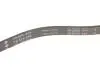 Ремінь генератора BMW 5 (E39) 520i/523i/528i 90-/Hyundai XG 3.0-3.5 98-05/Mitsubishi Colt 1.5 05-12 INA FB 5PK906 (фото 3)