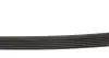 Ремінь генератора MB C-class (W205)/E-class (W213) 14- INA FB 6PK1073 (фото 2)