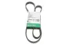 Ремень генератора Fiat Doblo1.3-1.6 D 10-/Opel Astra F/Corsa B/Vectra B 1.4-1.8/ 94-03 (6PK1530) INA FB 6PK1530 (фото 1)
