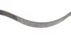Ремень генератора Fiat Doblo1.3-1.6 D 10-/Opel Astra F/Corsa B/Vectra B 1.4-1.8/ 94-03 (6PK1530) INA FB 6PK1530 (фото 2)