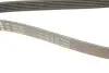 Ремень генератора поликлиновый VW Golf/BMW/Ford/Opel (6PK1540) INA FB 6PK1540 (фото 4)