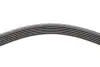 Ремінь генератора Ford Mondeo IV 2.0TDCI 07-15/Volvo S80/V70 2.0D/TDi 07-15 (6PK1845) INA FB 6PK1845 (фото 3)