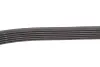 Ремінь генератора Peugeot Partner 1.6 HDI 08-/Ford Connect 1.6TDCi 13- (+AC) INA FB 6PK975 (фото 3)