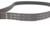 Ремінь генератора Peugeot Partner 1.6 HDI 08-/Ford Connect 1.6TDCi 13- (+AC) INA FB 6PK975 (фото 4)