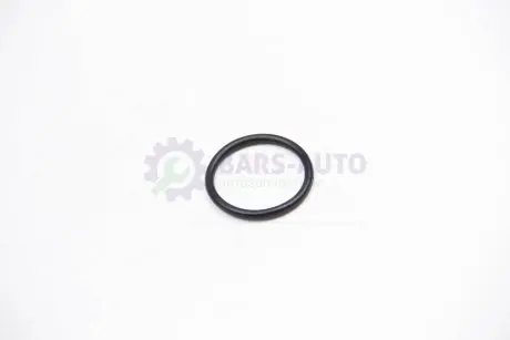 Прокладка флянця сист. охолодження Golf/Passat/A4/A6 -05 JP GROUP 1119606300