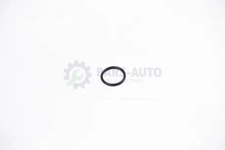 Прокладка маслозливної пробки Astra F/G/H/J/Vectra B (18мм) JP GROUP 1213850300