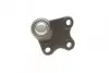 Опора кульова (передня/знизу/L) Audi A1 10-/Seat Ibiza 02-15/Skoda Fabia 99-14/Rapid 12-/VW Polo 01 KAPIMSAN 23-06222 (фото 3)