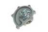 Помпа воды Hyundai Terracan 2.9CRDi 01-06 KAVO PARTS HW-1071 (фото 3)