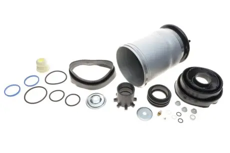 Подушка пневмоподвески (сзади) Land Rover Discovery III/IV 04-18/Range Rover Sport I 05-13 KAVO PARTS SAS-10033