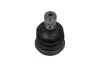 Опора шаровая (передняя/снизу) Hyundai Santa Fe I/II 00-/Kia Sorento II 09- KAVO PARTS SBJ-3017 (фото 3)