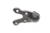 Опора кульова (передня/знизу) Hyundai Terracan 01-06 KAVO PARTS SBJ-3024 (фото 2)