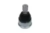 Опора кульова (передня) Mazda 3 03-13/5 10-/Premacy 05-10 KAVO PARTS SBJ-4535 (фото 1)