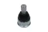Опора кульова (передня) Mazda 3 03-13/5 10-/Premacy 05-10 KAVO PARTS SBJ-4535 (фото 3)