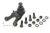 Опора шаровая (передняя/снизу/L) Mitsubishi Pajero 90- KAVO PARTS SBJ-5507 (фото 1)