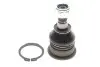 Опора кульова (передня/знизу) Nissan Primera/Sunny 86-02/Almera II 00- KAVO PARTS SBJ-6508 (фото 1)