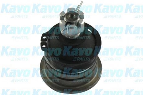 Опора шаровая (передняя/сверху) Nissan Navara/Pick Up 97- KAVO PARTS SBJ-6526 (фото 1)