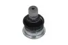 Кульова опора (шарнір) KAVO PARTS SBJ-6537 (фото 1)