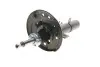 Амортизатор KAVO PARTS SSA-6595 (фото 7)