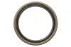 Підшипник маточини (передньої) Mazda 323 -91 (38x63x17) (к-кт) KAVO PARTS WBK-4501 (фото 4)