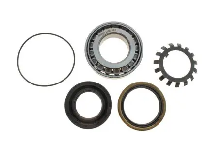 Подшипник ступицы (задней) Mitsubishi L300/L200/Pajero 82-07 (к-кт) KAVO PARTS WBK-5508