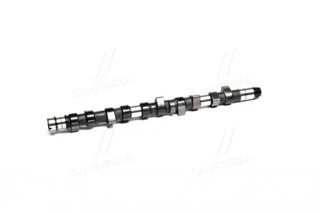 Розподільний вал VW LT 2.5TDI (AGX/AHD/ANJ/APA)/T4 2.5TDI (AUF/AXG/ACV) KOLBENSCHMIDT 50006283