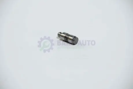Гидрокомпенсаторы IN BMW N52 (KS) KOLBENSCHMIDT 50006492