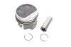 Поршень VW T4 1.9TD 92-03 (79.51mm/STD) KOLBENSCHMIDT 91429600 (фото 2)