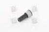 Сайлентблок CITROEN/PEUGEOT C5/407/508 &quot;F &quot;04&gt;&gt; LEMFORDER 33288 01 (фото 3)