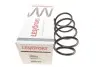 Пружина (передняя) BMW X1 (E84) sDrive 18d/18i/20d/20i 09-15 (SUV) (без М-техн.) LESJOFORS 4008507 (фото 1)