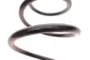 Пружина (передня) Opel Vectra C 2.2 16V/DGi 02-08 (седан/шас.до 48045597)/(накл.з.ч/до 41048789) LESJOFORS 4063496 (фото 3)
