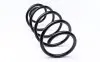 Пружина (передняя) VW Polo 1.6 (+AC)/1.0TSI АКПП/1.2TDI/TSI 09-/Skoda Fabia III 1.0-1.2TSI АКПП 14- LESJOFORS 4095103 (фото 3)