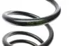 Пружина (задняя) BMW X6 (E71/E72) 30d/35d/i/40d/50i xDrive 07-14 (SUV) (с пост.d)(без AdaptiveDrive) LESJOFORS 4208498 (фото 2)