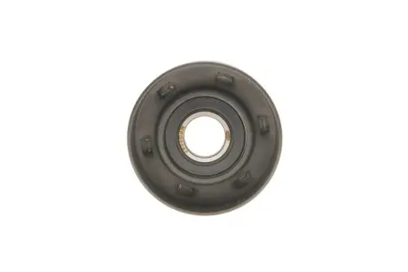 Ролик генератора Renault Clio III/Megane II//Scenic II 2.0 1.6V/1.9dCi 03- (натяжной) (65x30) (MPQ0087) MAGNETI MARELLI 331316170087