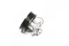 Водяной насос (кор.код. 81862) MagnetiMarelli MAGNETI MARELLI 350981862000 (фото 3)