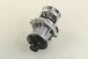 Водяной насос (кор.код. WPQ0038) MagnetiMarelli MAGNETI MARELLI 352316170038 (фото 4)