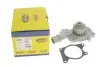 Помпа води Ford Fiesta/Escort 1.4/1.6 86- (WPQ0142) MAGNETI MARELLI 352316170142 (фото 6)