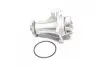 Водяной насос (кор.код. WPQ0274) MagnetiMarelli MAGNETI MARELLI 352316170274 (фото 1)