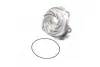 Насос воды Fiat Doblo 1.9JTD 01- (WPQ0317) MAGNETI MARELLI 352316170317 (фото 4)